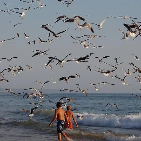 Caparica Sun Centre *