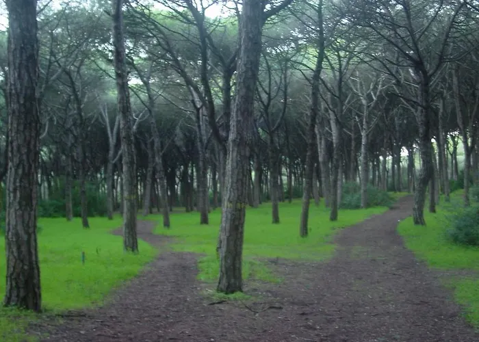 Hostel Caparica Sun Centre *