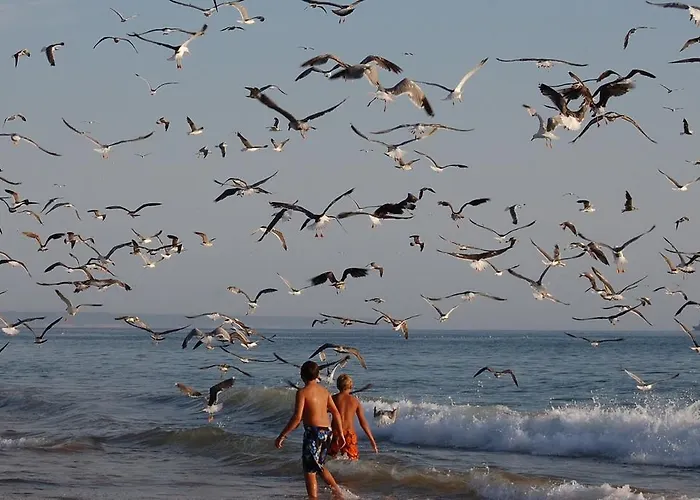 Caparica Sun Centre *