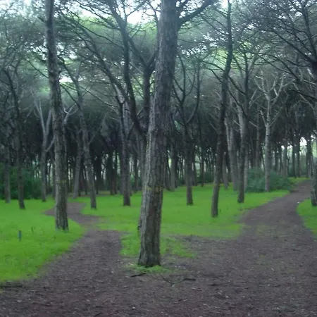 بيت شباب Caparica Sun Centre *